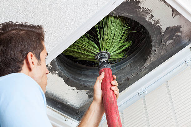 Best Air Duct Sanitizing Services  in Inverness, FL